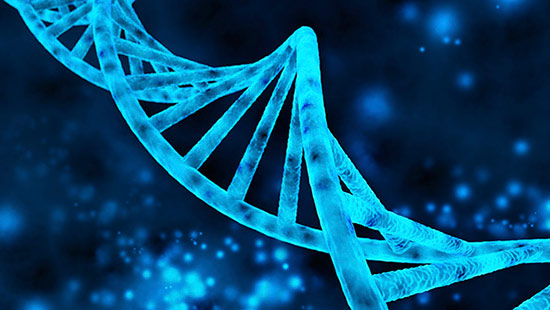 Life Sciences